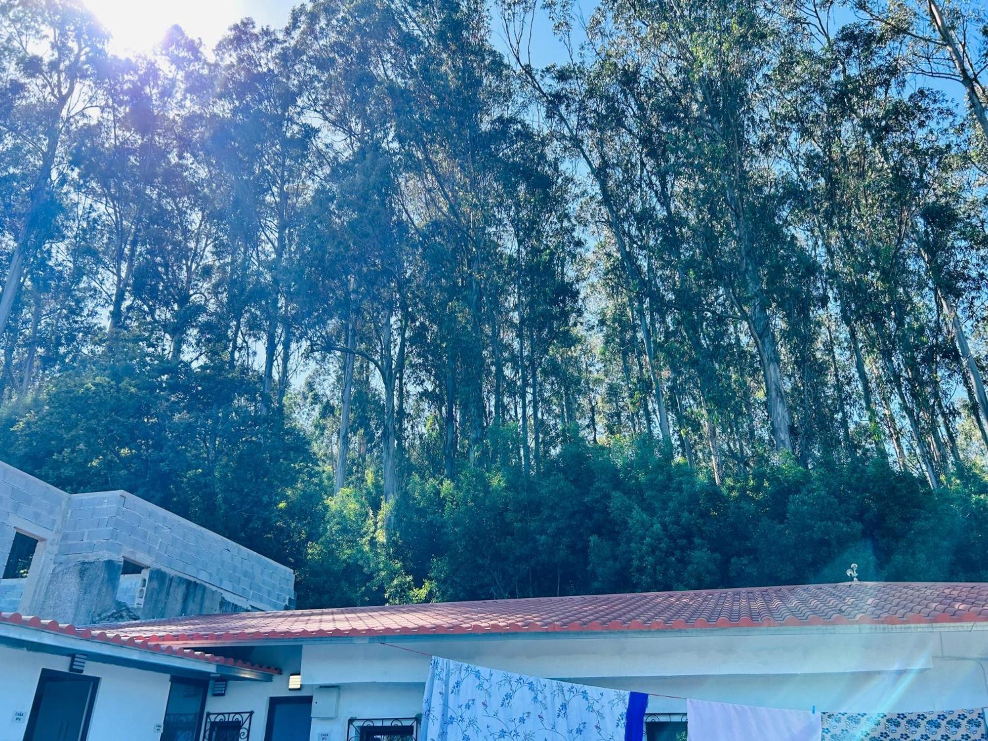 Japji Guest House Esmeriz Vitoria Bagian luar foto